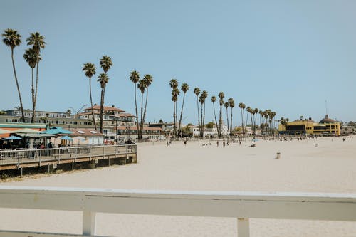 《折桂令 九日》詩詞賞析