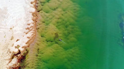 陳正正劉振華張娜小說麻衣祖師無彈窗閱讀