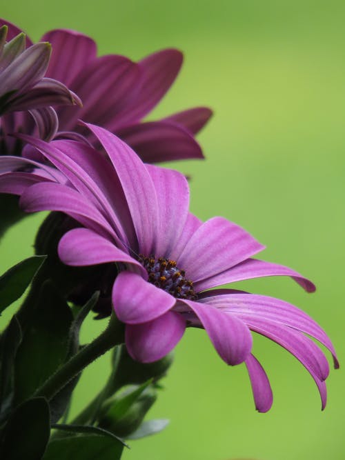 我真不是道師小說異世界陳道師白秋山全集閱讀