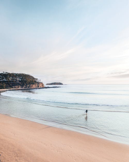 連載中以我為王的世界小說陳龍穆染菲小雨章節(jié)閱讀