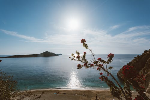 五年級(jí)寫人作文菜市場(chǎng)老板