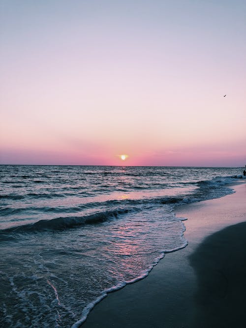 能干的玩不過(guò)會(huì)演的美文 能干的玩不過(guò)會(huì)演的美文