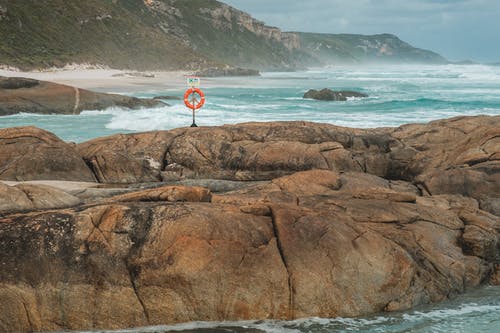 頭號(hào)相師小說重生朱亮林雨桐無刪減閱讀