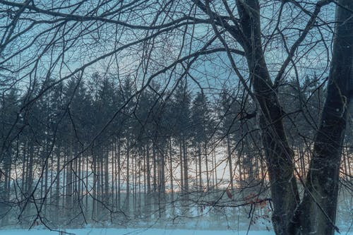 三觀正的勵(lì)志句有哪些？