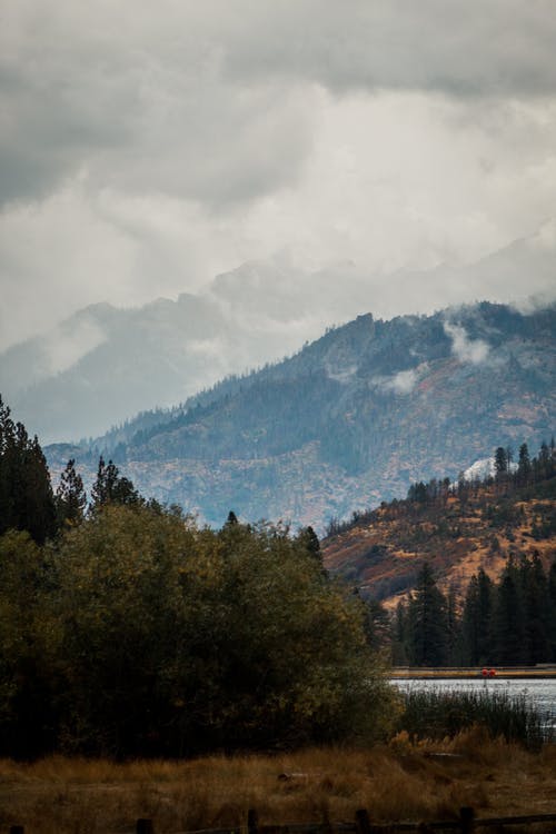 【熱門】二年級日記模板匯編八篇