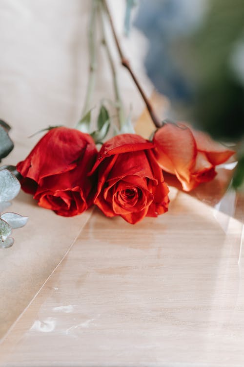 水仙子居庸關中秋對月賞析