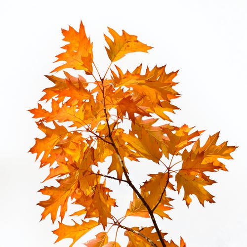 【精】珍惜時間的詩句