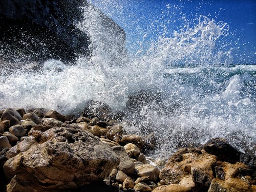 鷓鴣天賞析及譯文注釋