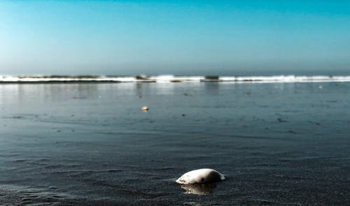 五年級觀后感《地道戰(zhàn)》觀后感