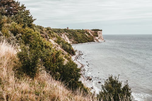 五年級(jí)讀后感《天藍(lán)色的彼岸》讀后感 五年級(jí)讀后感《天藍(lán)色的彼岸》讀后感