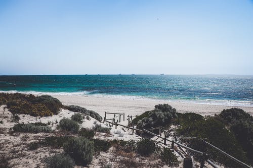 2020年表達(dá)除夕快樂的祝福語錦集58句