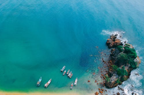 清江引·秋懷翻譯及賞析