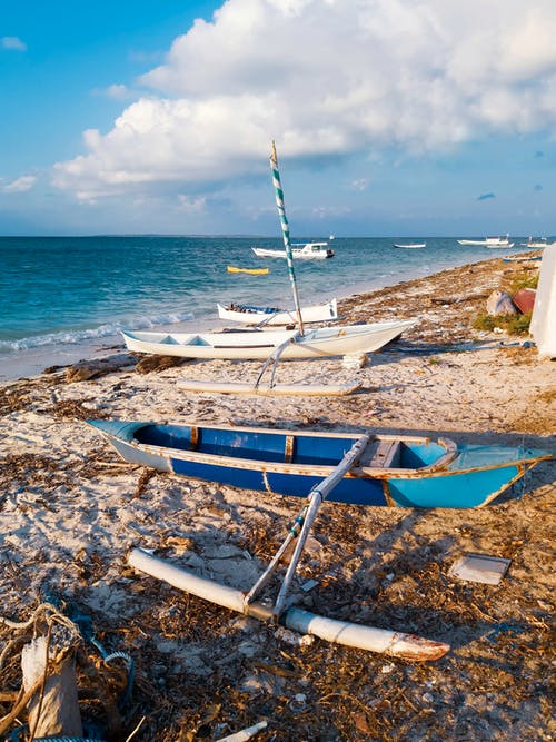 你我之間再無虧欠小說蘇溫酒顧向風(fēng)全篇閱讀