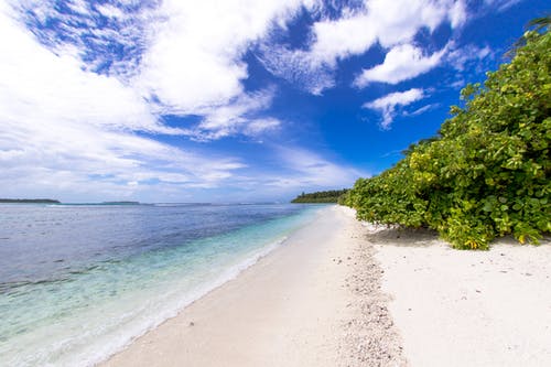 毒醫(yī)圣尊小說(shuō)復(fù)仇華青云劉青桐無(wú)廣告閱讀