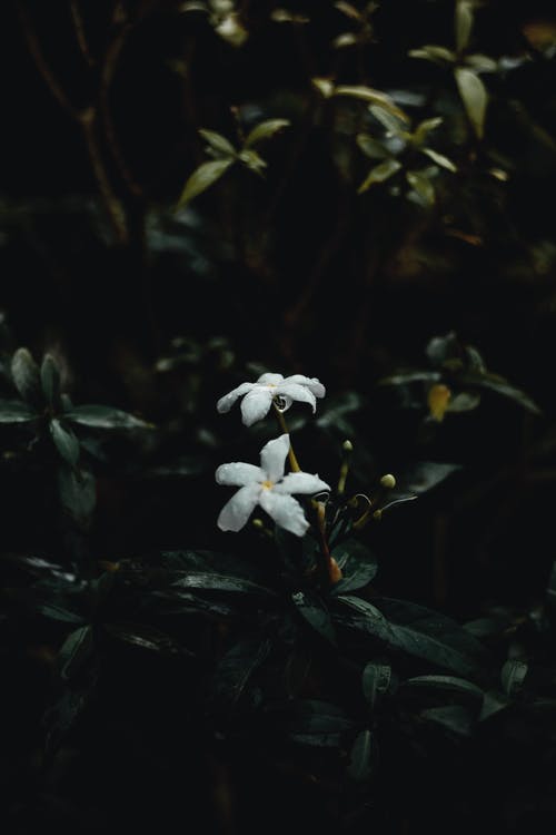 五年級期末考試作文大螃蟹