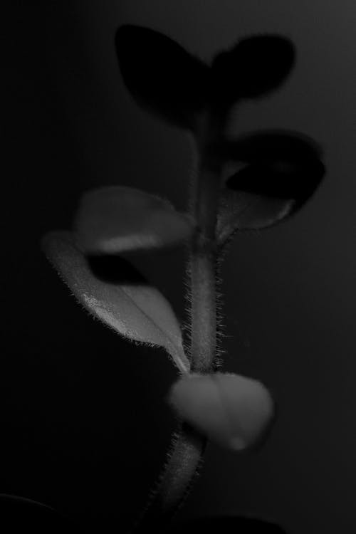 《永遇樂·舟中感舊》譯文及鑒賞 《永遇樂·舟中感舊》譯文及鑒賞