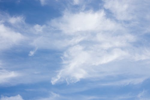 五年級(jí)材料作文生如夏花