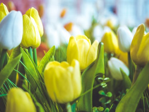 實(shí)用的二年級(jí)日記合集7篇