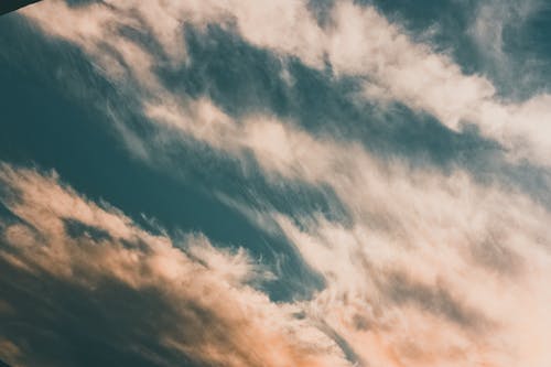 《月賦》文言文翻譯與賞析