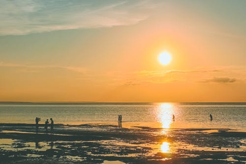 初中寒假日記600字