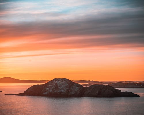 短篇藍(lán)玫花開的秘密小說有原萍萍整本閱讀