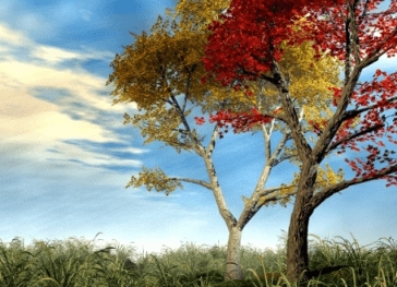 適合發(fā)朋友圈讓人感同身受的傷感語錄（17句）