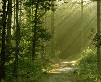 心里難受想哭的說說2021：你可以什么都聽，但不能什么都信