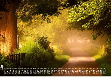 心里難受想哭的說說（16句）