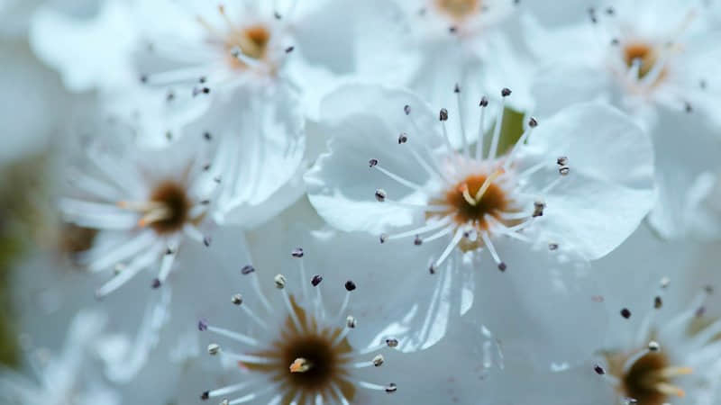 qq女生的傷感說說(70條) qq女生的傷感說說(70條)