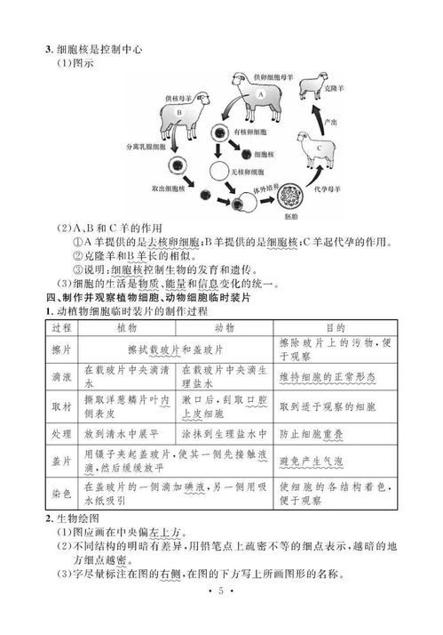 生物必備基礎知識點初中,初中生物基礎知識點總結,初中生物知識點總結