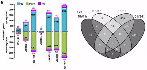 轉錄組基礎知識