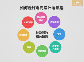 電商基礎(chǔ)知識學的到啥