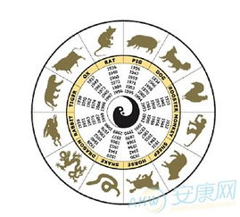 五行八卦基礎(chǔ)知識