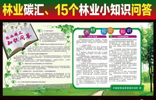 林業(yè)碳匯基礎(chǔ)知識(shí)問(wèn)答