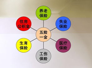 社會保險,基礎(chǔ)知識