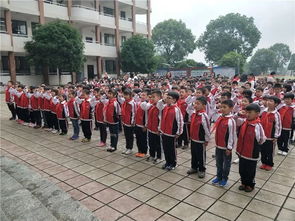 少先隊(duì)基礎(chǔ)知識(shí)測(cè)試題,少先隊(duì)基礎(chǔ)知識(shí)問(wèn)答,少先隊(duì)基礎(chǔ)知識(shí)100題