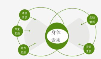 體育專業(yè)基礎(chǔ)知識(shí)總結(jié)