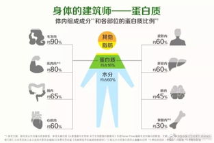 安利基礎(chǔ)知識蛋白質(zhì)上簡便書