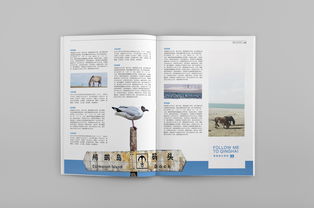 書籍版面與排版的基礎(chǔ)知識