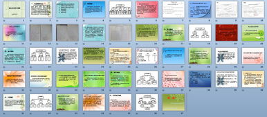 1社會保險基礎(chǔ)知識