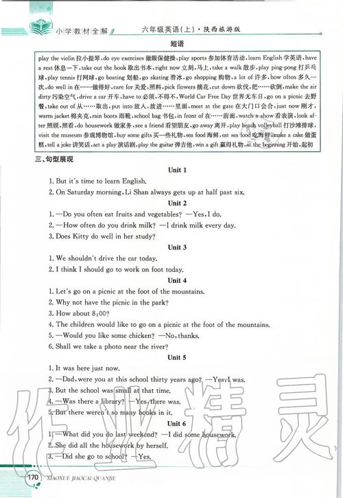 上冊(cè),六級(jí),基礎(chǔ)知識(shí)