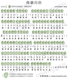 學(xué)陶笛的基礎(chǔ)知識