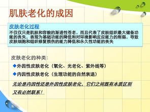 皮膚基礎(chǔ)知識開場白