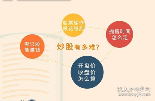 股票入門基礎(chǔ)知識(shí)百度小說(shuō)