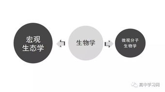 高中生命科學(xué)基礎(chǔ)知識自查