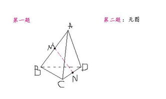 立體幾何入門基礎(chǔ)知識(shí)