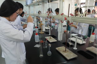 藥檢基礎(chǔ)知識(shí)化學(xué)