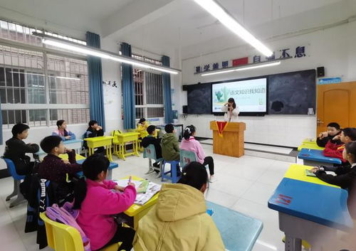 宜賓,基礎(chǔ)知識(shí),教育