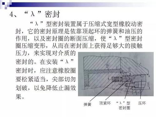 密封基礎(chǔ)知識試卷