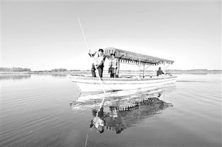 白洋淀紀事基礎知識